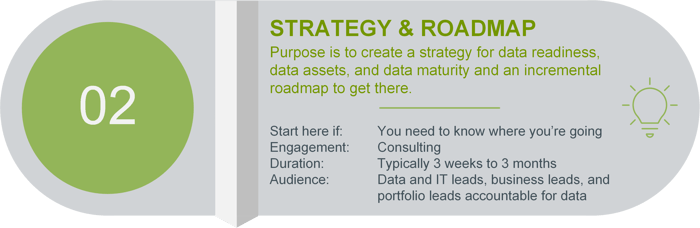 iBusiness Group Data Strategy and Roadmap
