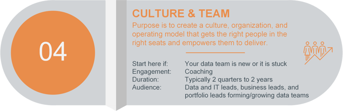 iBusiness Group Data Culture and Data Team