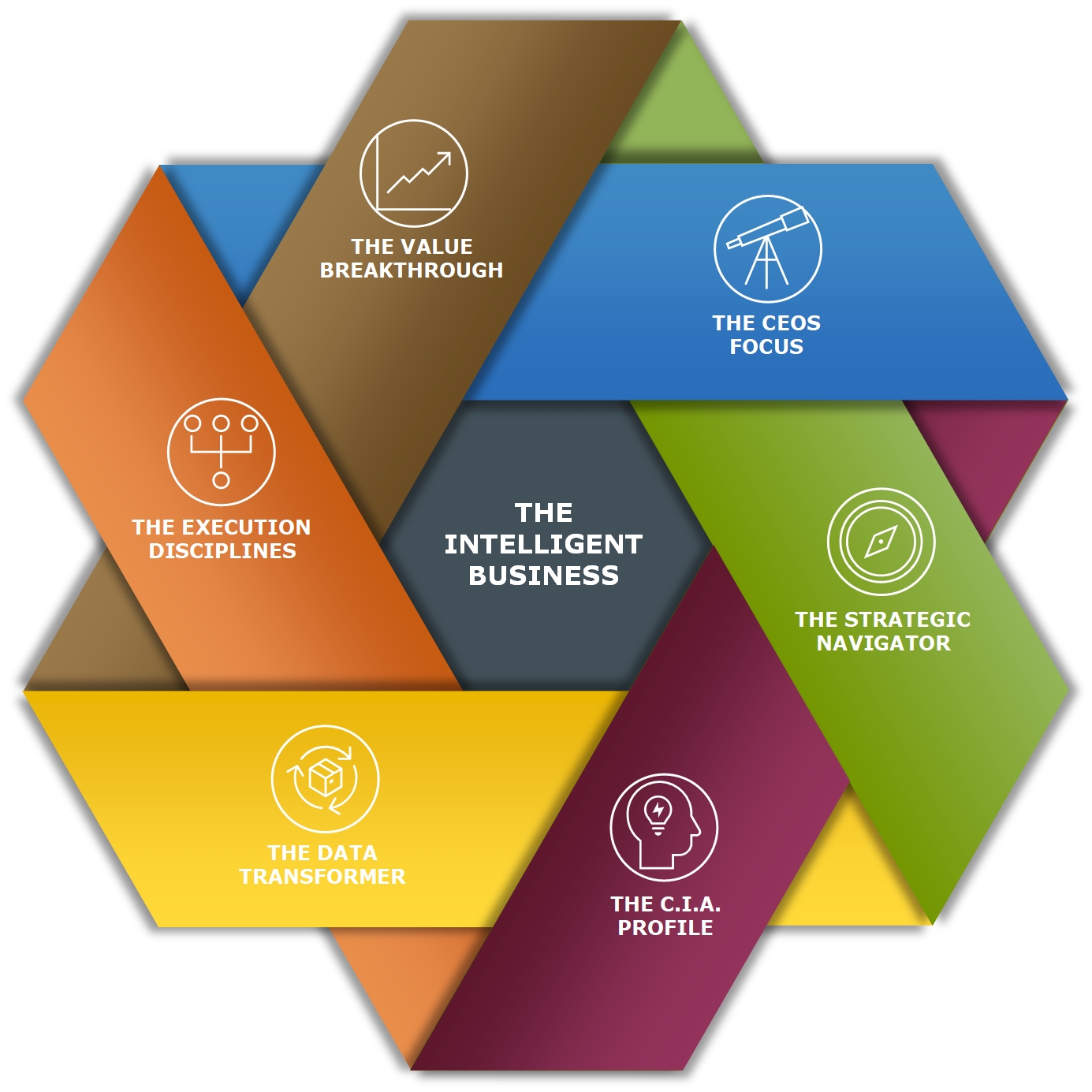 The Intelligent Business Program Wheel
