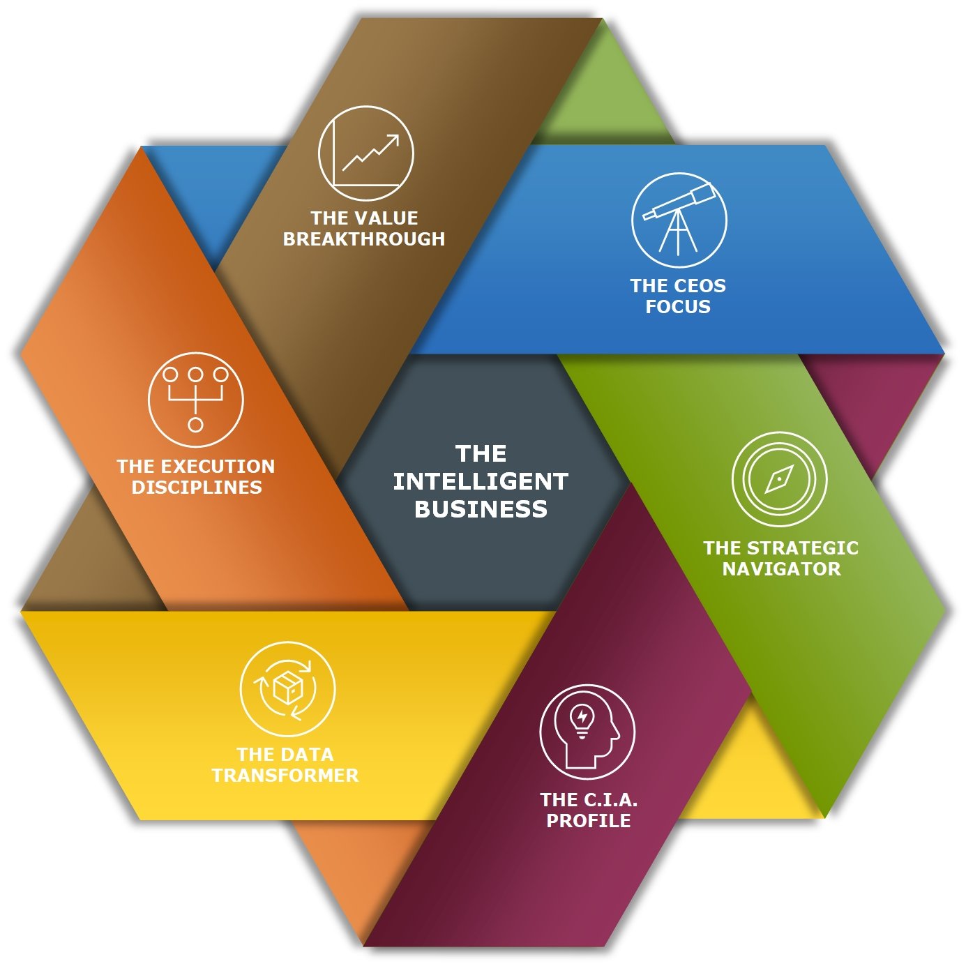 The Intelligent Business Program Wheel The Intelligent Business Program Wheel