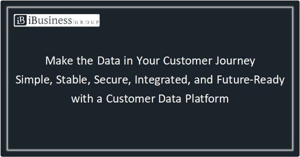The iBusiness Group. Optimize Your Customer Journey with a Customer Data Platform.